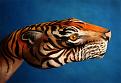 Click image for larger version

Name:	coolhandart01.jpg
Views:	153
Size:	41.3 KB
ID:	1683591