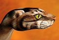 Click image for larger version

Name:	coolhandart08.jpg
Views:	146
Size:	39.6 KB
ID:	1683598