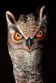 Click image for larger version

Name:	coolhandart14.jpg
Views:	191
Size:	86.4 KB
ID:	1683603