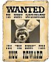 Click image for larger version

Name:	Confused_Ferret.JPG
Views:	193
Size:	27.7 KB
ID:	1683637