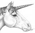 Click image for larger version

Name:	unicorn.jpg
Views:	124
Size:	165.7 KB
ID:	1683690