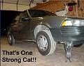 Click image for larger version

Name:	thats one strooooooooooooong cat.jpg
Views:	177
Size:	17.7 KB
ID:	1683812