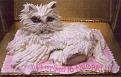 Click image for larger version

Name:	cat-cake.jpg
Views:	121
Size:	64.3 KB
ID:	1683866