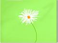 Click image for larger version

Name:	flower by jennifer.JPG
Views:	186
Size:	12.8 KB
ID:	1684124