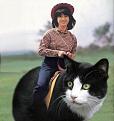 Click image for larger version

Name:	ride kitty.jpg
Views:	156
Size:	30.1 KB
ID:	1684173