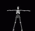 Click image for larger version

Name:	skeletn4.gif
Views:	120
Size:	7.8 KB
ID:	1684513