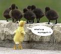 Click image for larger version

Name:	WHATUPNIGGA.jpg
Views:	156
Size:	34.3 KB
ID:	1684582