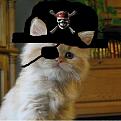 Click image for larger version

Name:	Me at GHP 2!.JPG
Views:	138
Size:	25.0 KB
ID:	1684661