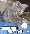 Click image for larger version

Name:	surrender-fuzzy-one.jpg
Views:	590
Size:	40.9 KB
ID:	1684728