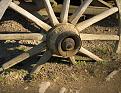 Wheel.jpg