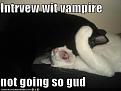Click image for larger version

Name:	funny-pictures-interview-with-vampire-cats.jpg
Views:	154
Size:	23.3 KB
ID:	1688372