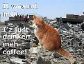 Click image for larger version

Name:	CatDestruction.jpg
Views:	155
Size:	31.7 KB
ID:	1690017