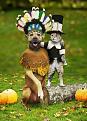 Click image for larger version

Name:	catsanddogs.jpg
Views:	100
Size:	85.6 KB
ID:	1691187